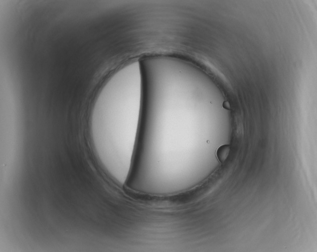X0000112420685200908141046