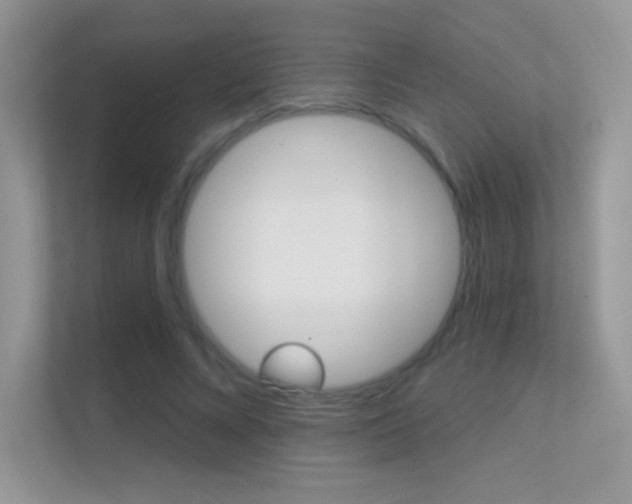 X0000112420688200908141046