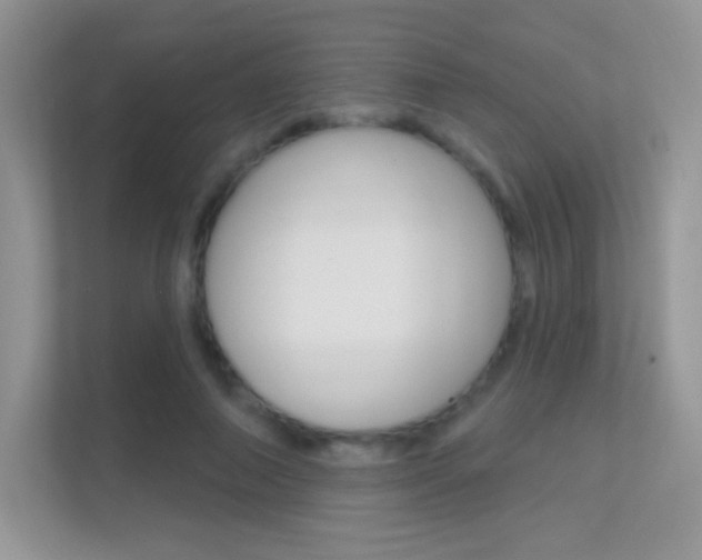 X0000112420690200908141046