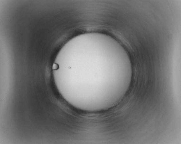 X0000112420691200908141046