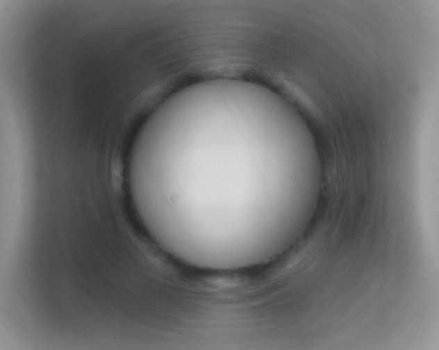 X0000112420693200908141046