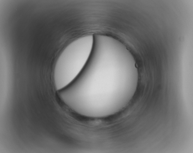 X0000112420695200908141046