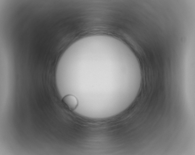 X0000112420696200908141046