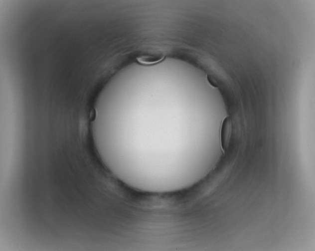 X0000112420697200908141046