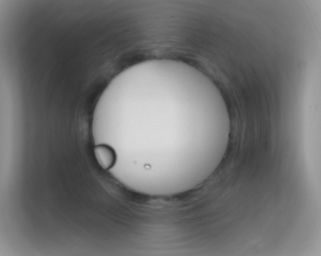 X0000112420703200908141046