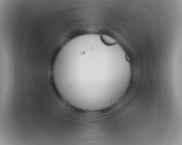 X0000112420707200908141045