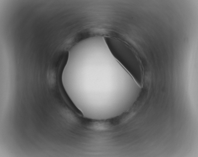 X0000112420708200908141045