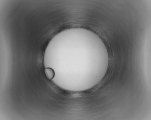 X0000112420710200908141045