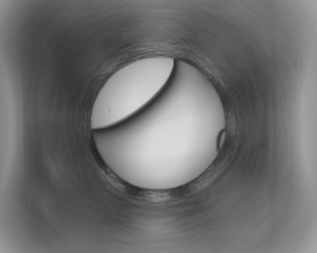 X0000112420719200908141045