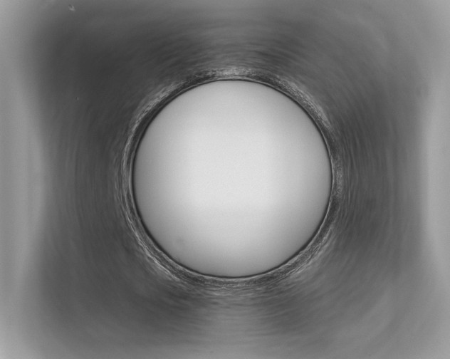 X0000112420721200908141045