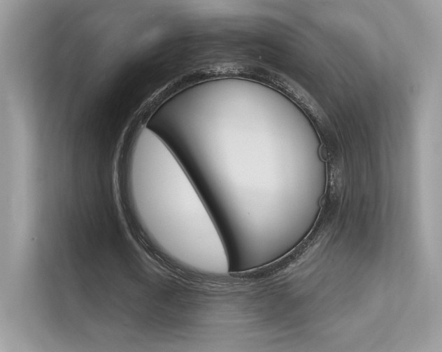 X0000112420722200908141045