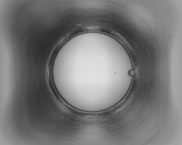 X0000112420725200908141045