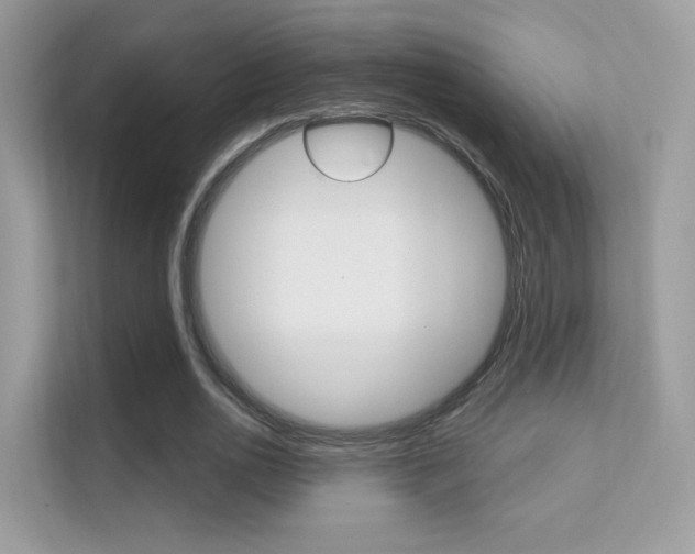 X0000112420726200908141045