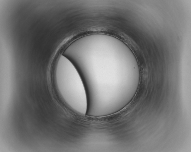 X0000112420727200908141045
