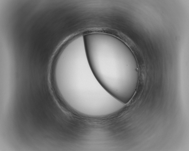 X0000112420728200908141045