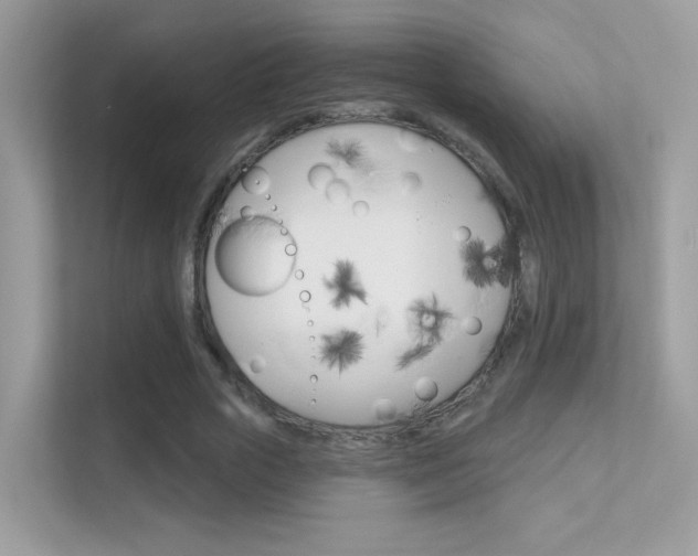 X0000112420729200908141045