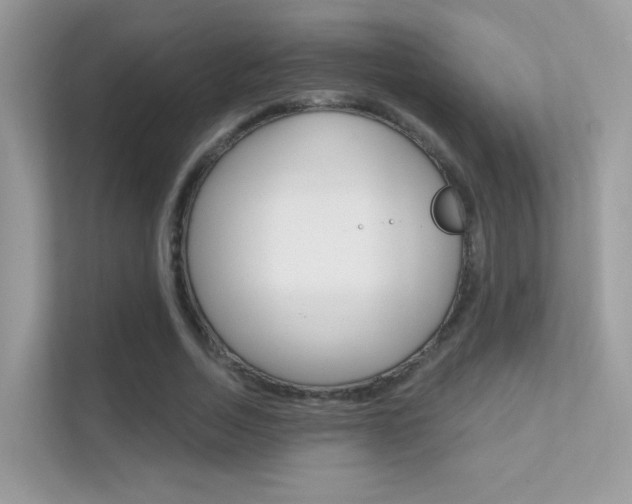 X0000112420730200908141045