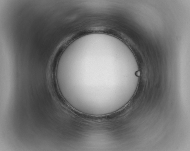 X0000112420731200908141045
