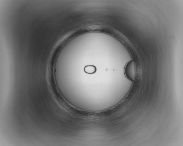 X0000112420732200908141045