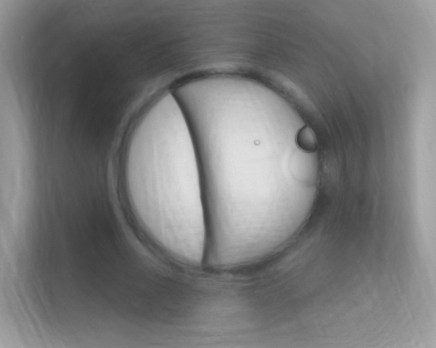 X0000112420734200908141045