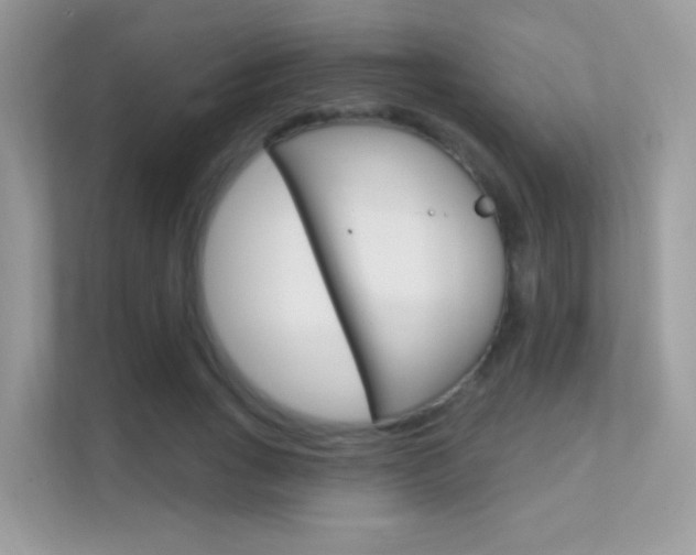 X0000112420735200908141045