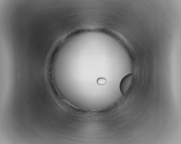 X0000112420736200908141045