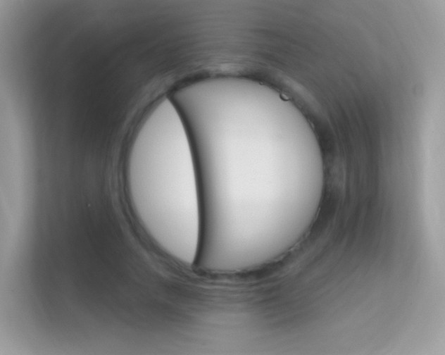 X0000112420738200908141045