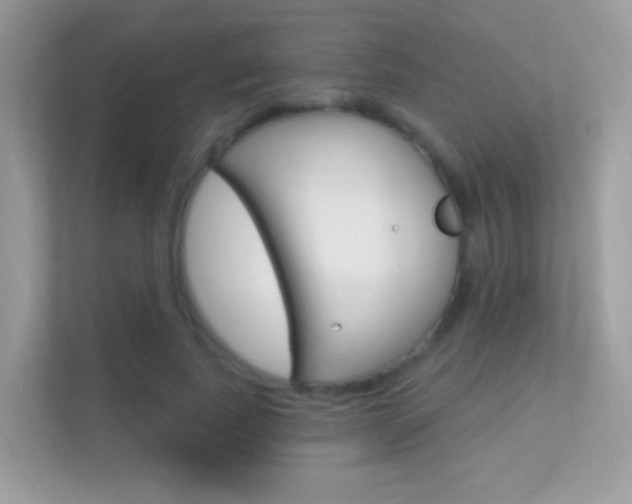 X0000112420739200908141045