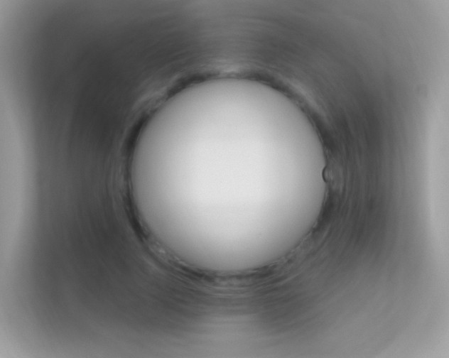 X0000112420740200908141045