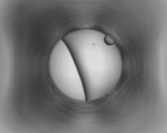 X0000112420743200908141045