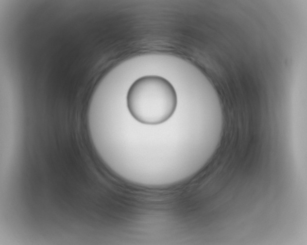 X0000112420744200908141045