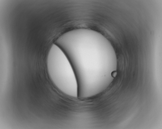 X0000112420747200908141045