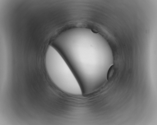 X0000112420748200908141045