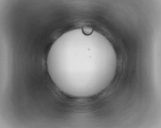 X0000112420749200908141045