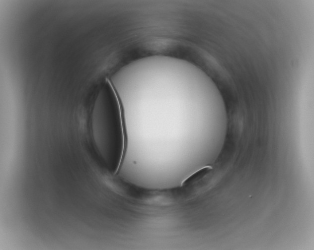 X0000112420750200908141045
