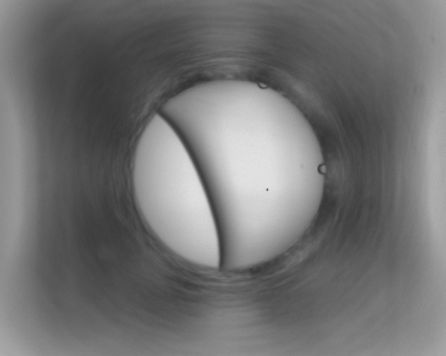 X0000112420751200908141045