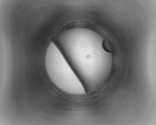 X0000112420752200908141045