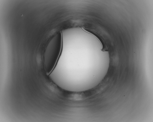 X0000112420756200908141045