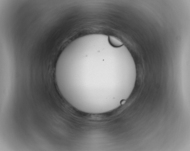 X0000112420758200908141045