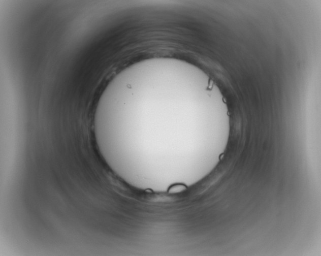 X0000112420759200908141045