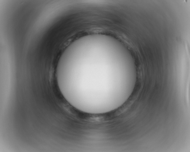 X0000112420760200908141045
