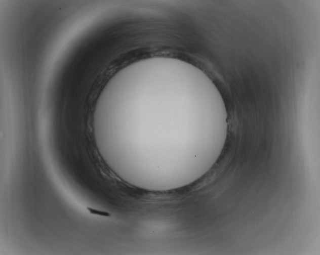 X0000112420763200908141045