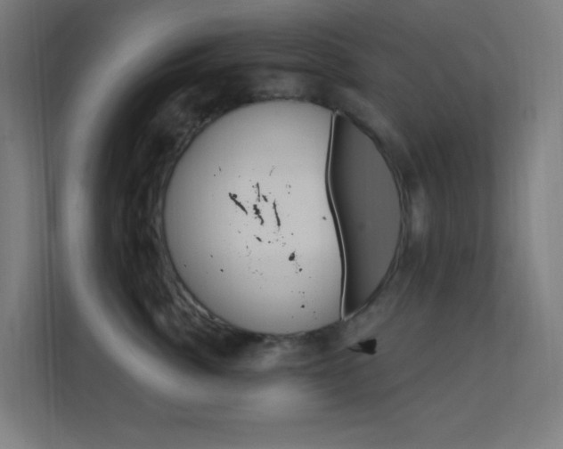 X0000112420764200908141045