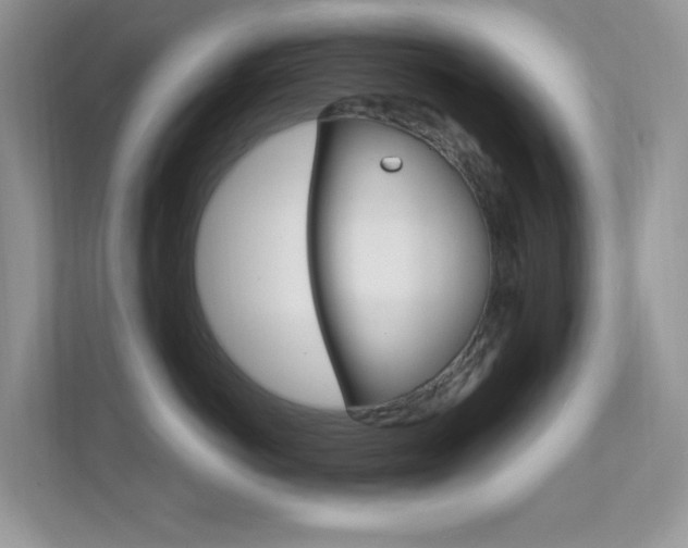 X0000112420766200908141045