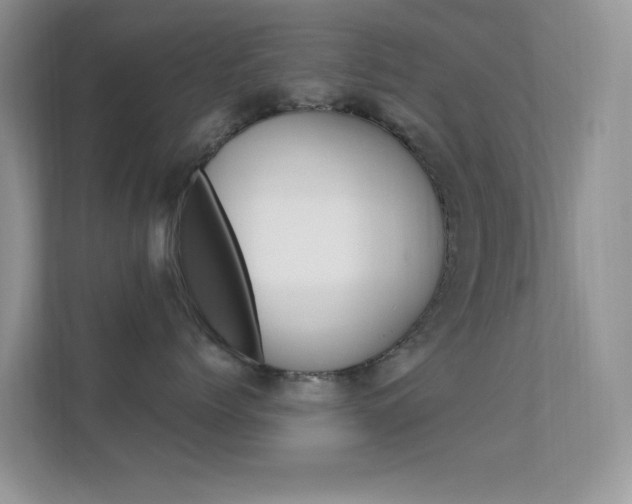 X0000112420768200908141045
