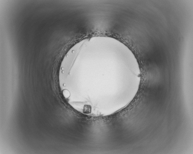 X0000112420769200908141045