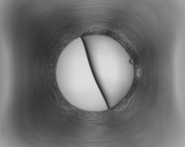 X0000112420771200908141045