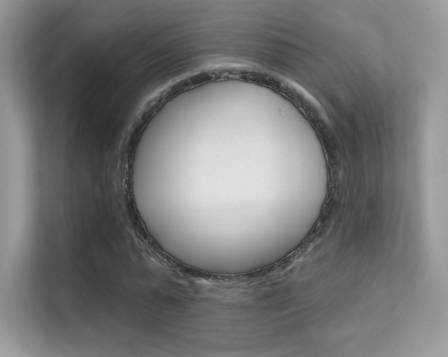 X0000112420775200908141045