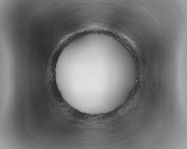 X0000112420776200908141045