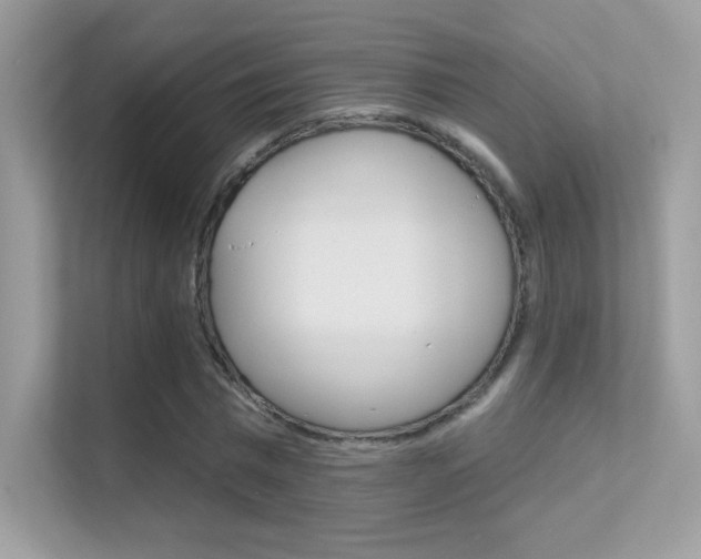 X0000112420777200908141045